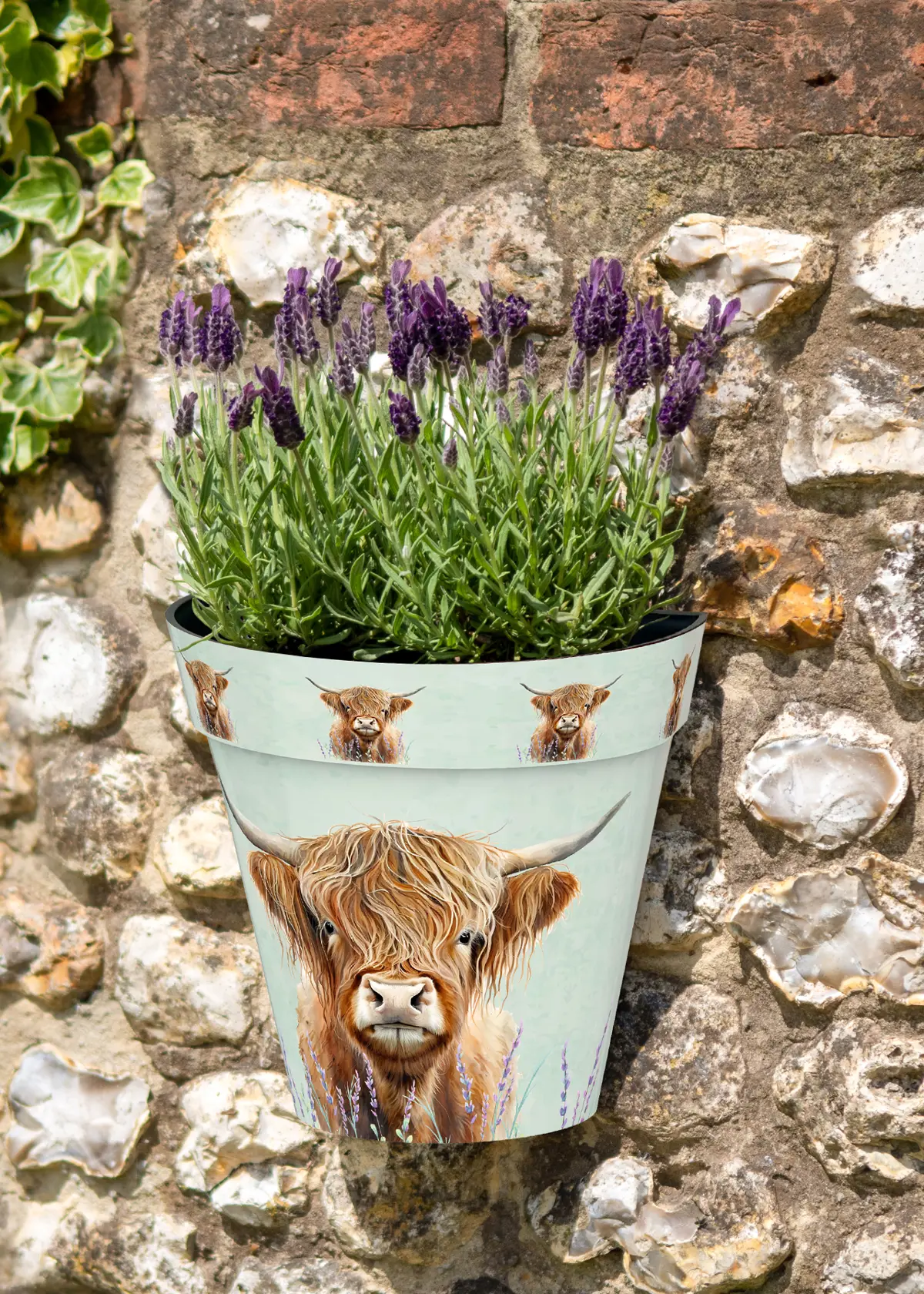 Highland Cow Zest Wall Pot 23cm