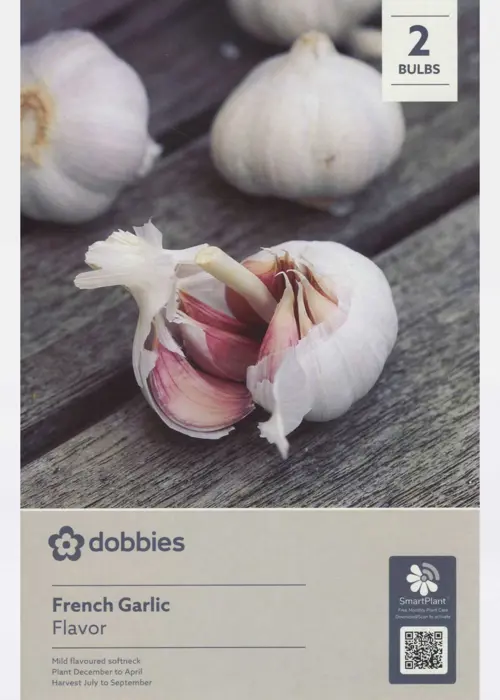 A photo of French Garlic Flavor Pack of 2