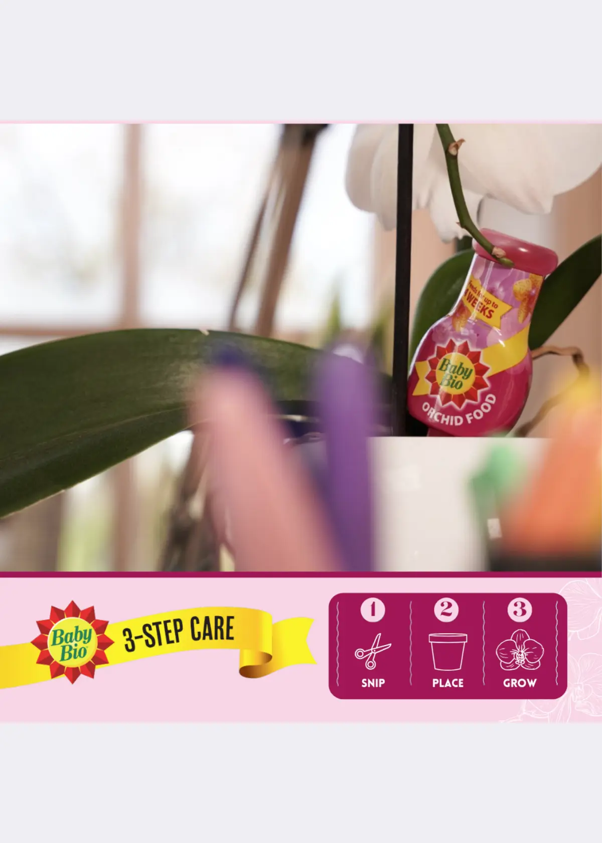 Baby Bio Orchid Food Drip Feeders 4x40ml