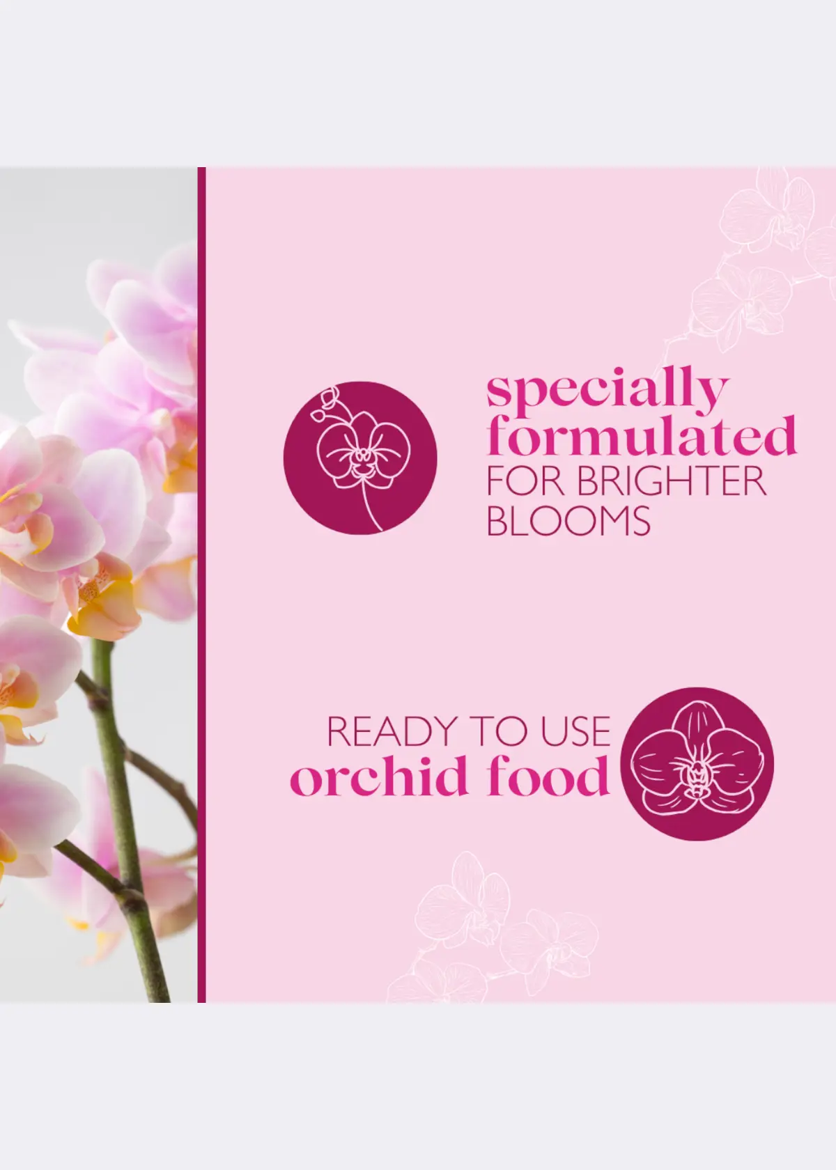 Baby Bio Orchid Food Drip Feeders 4x40ml