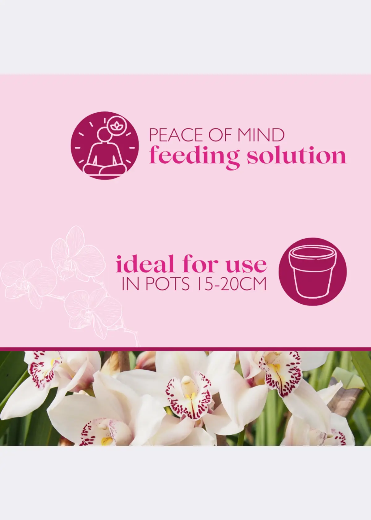Baby Bio Orchid Food Drip Feeders 4x40ml