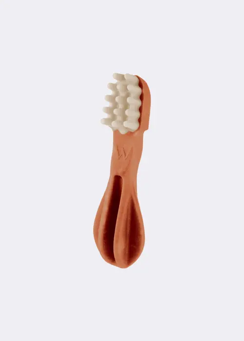Whimzees Medium Star Toothbrush