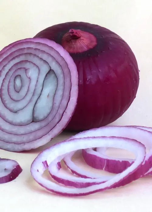 A photo of Onion Red Winter 50 Sets Per Pack