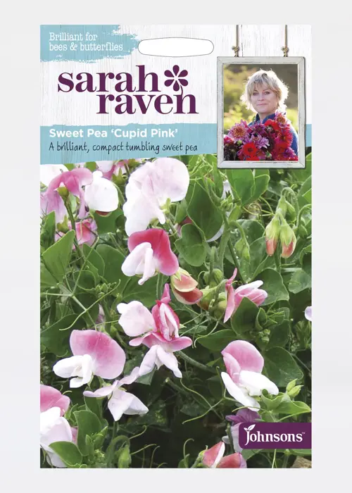 A photo of Sweet Pea Cupid Pink Seeds