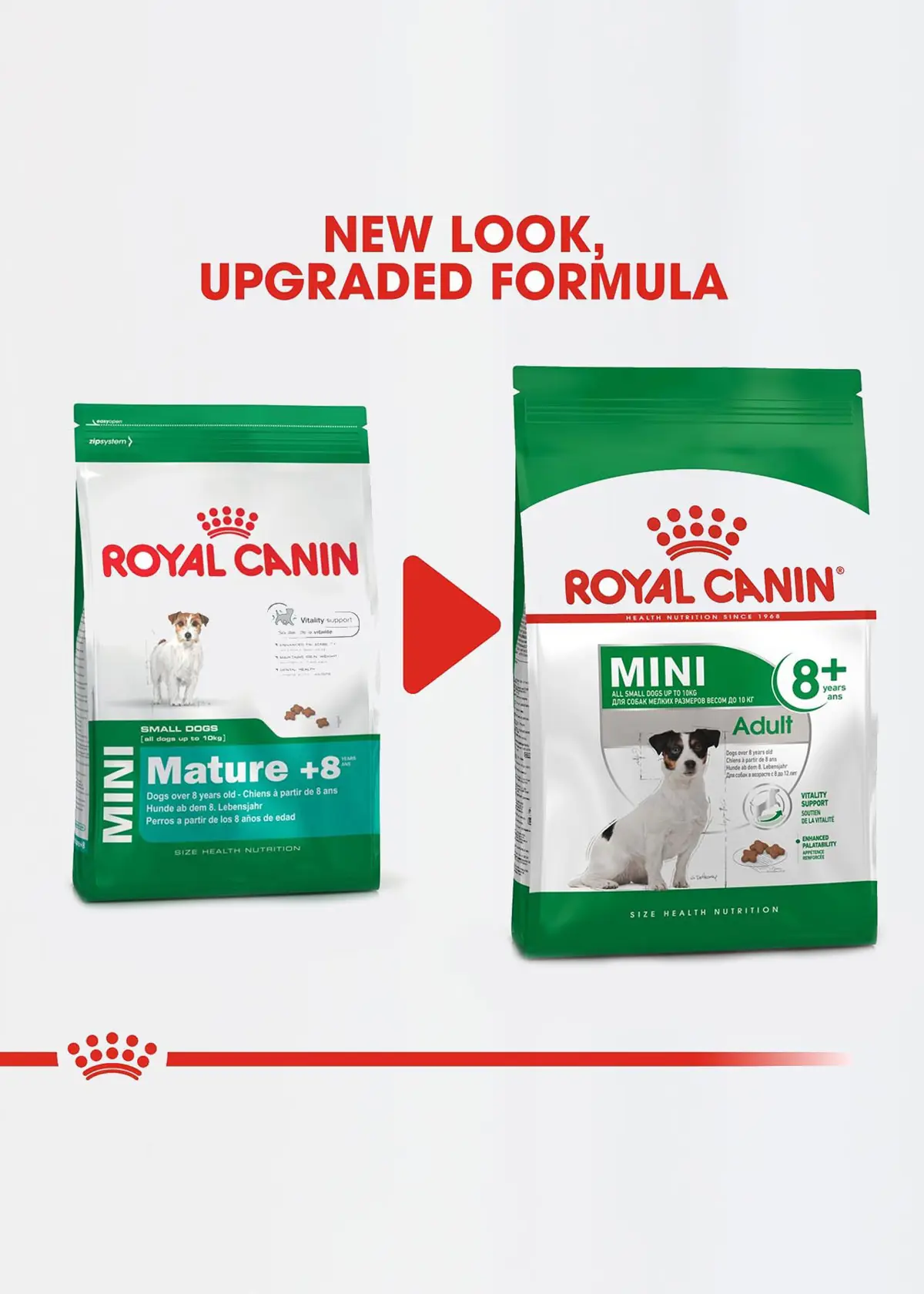 Royal Canin Mini Adult  8+ Dry Dog Food 2kg