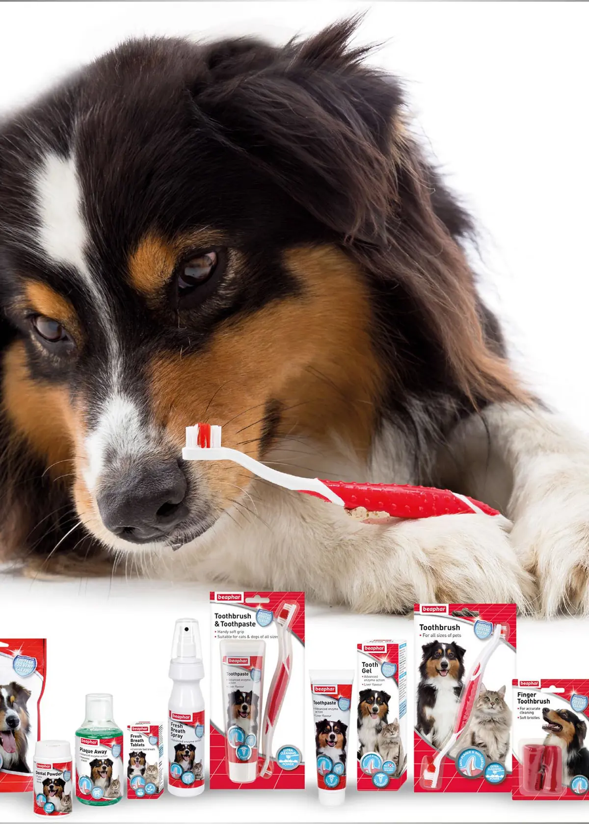 A photo of Beaphar Toothpaste 100