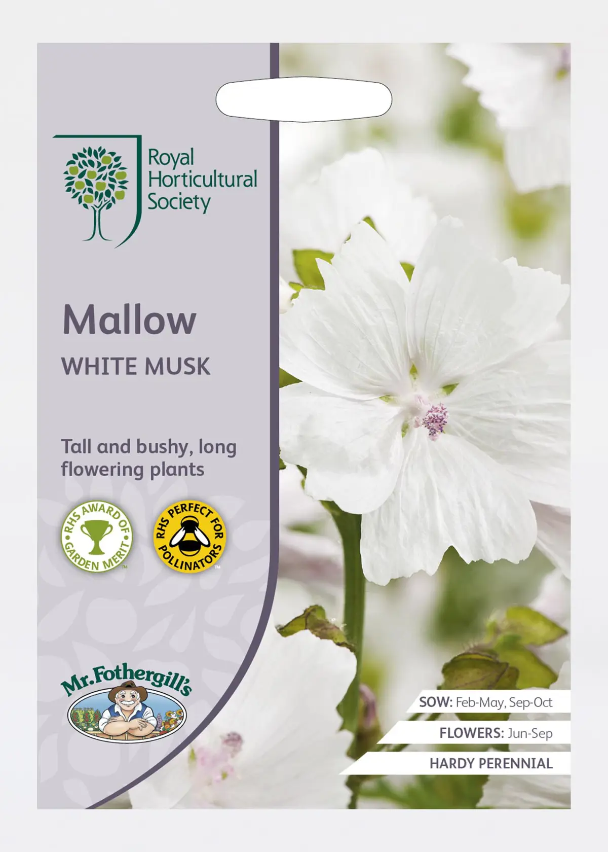 A photo of RHS Mallow White Musk Seeds