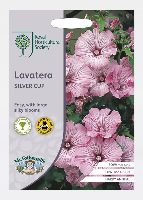 A photo of RHS Lavatera Silver Cup Seeds