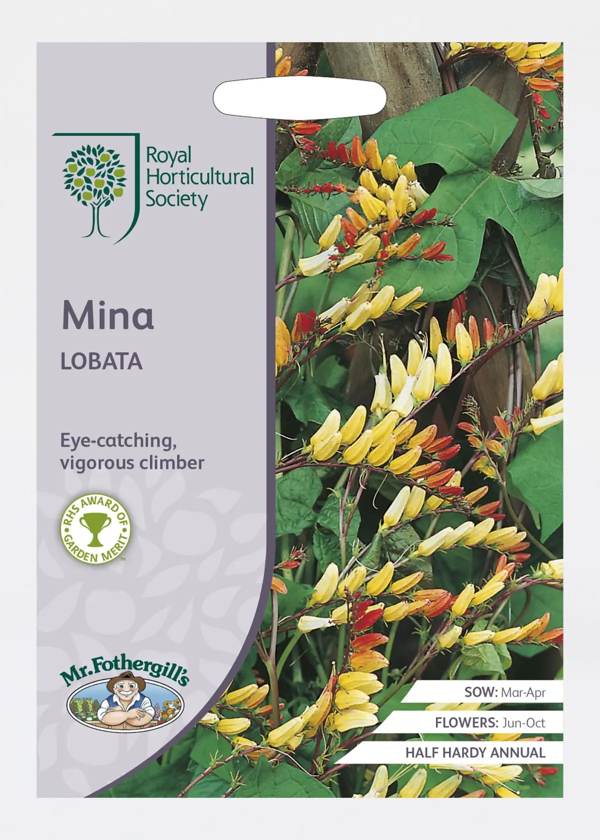 A photo of RHS Mina Lobata Seeds