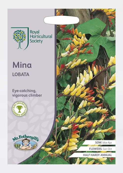 A photo of RHS Mina Lobata Seeds