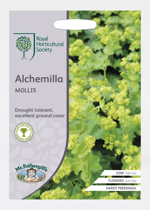 A photo of RHS Alchemilla Mollis Seeds