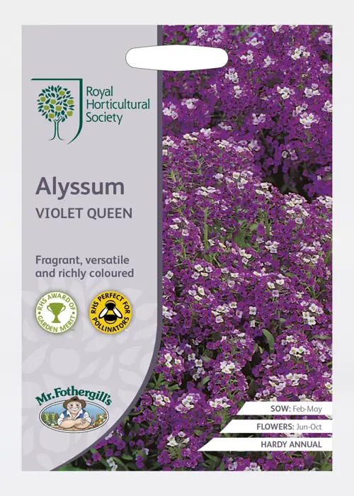 A photo of RHS Alyssum Violet Queen Seeds