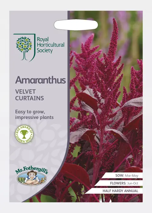 A photo of Rhs Amaranthus Velvet Curtains Seeds