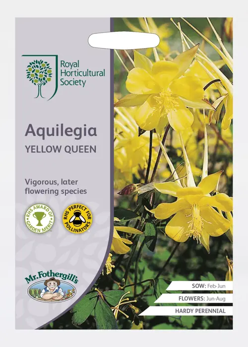 A photo of RHS Aquilegia Yellow Queen Seeds