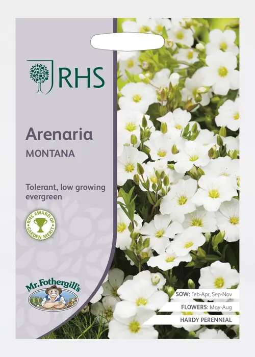 A photo of RHS Arenaria Montana Seeds