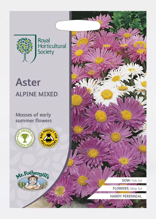 A photo of RHS Aster Alpine Mixed Seeds