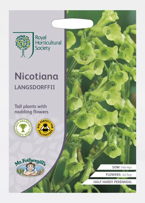 A photo of RHS Nicotiana Langsdorffii Seeds