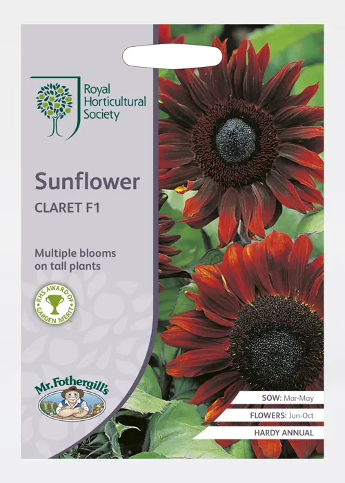A photo of RHS Sunflower Claret F1 Seeds