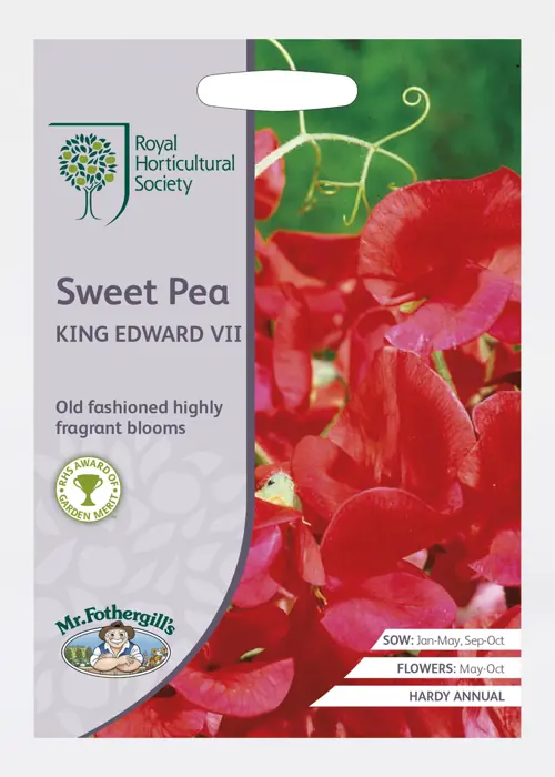 A photo of Rhs Sweet Pea Kind Edward Vii Seeds