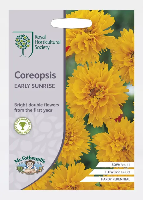 A photo of RHS Coreopsis Early Sunrise Seeds