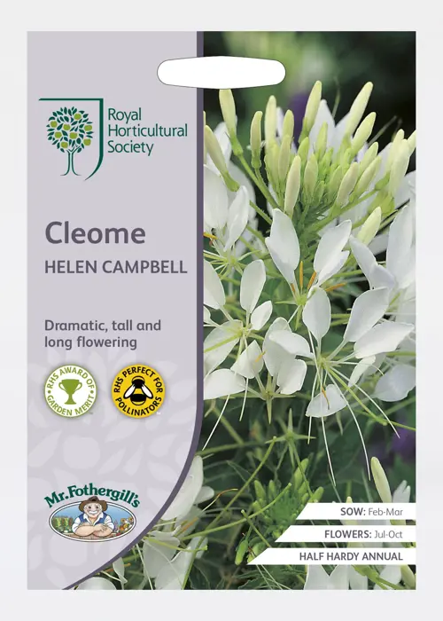 A photo of RHS Cleome Helen Campbell Seeds
