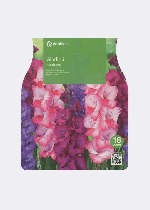 A photo of Gladioli Purple Blend Pack of 15