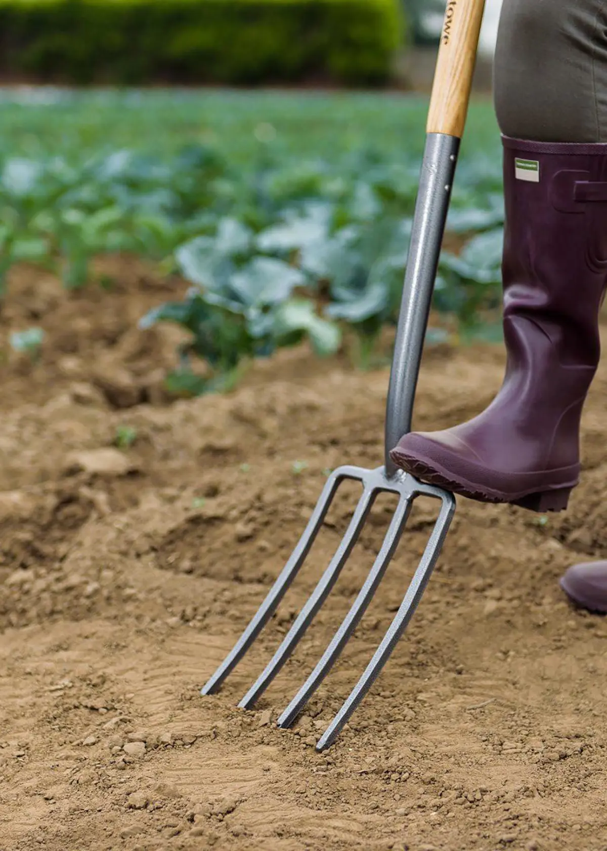 A photo of Kent & Stowe Carbon Steel Digging Fork
