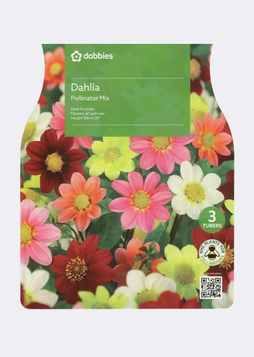 A photo of Dahlia Pollinator Mix Pack of 3