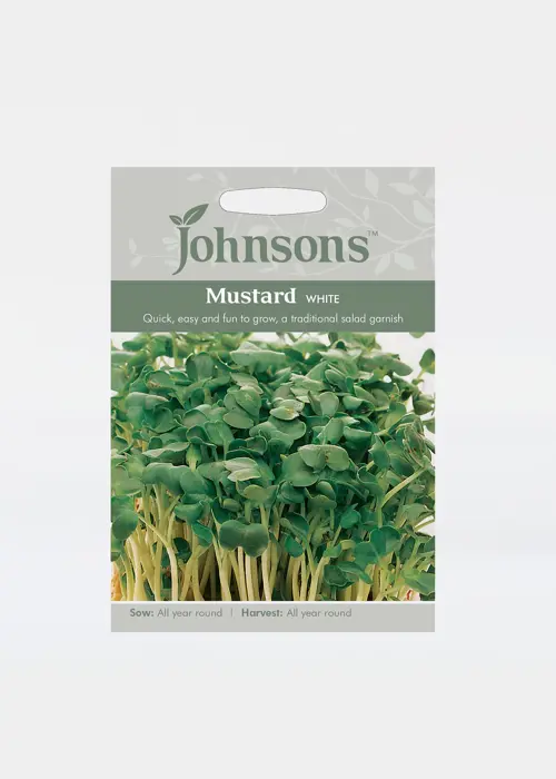 A photo of White Mustard Seeds