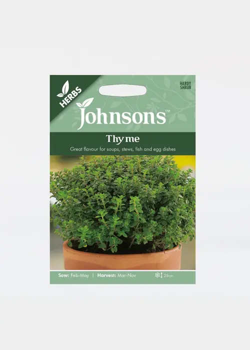 A photo of Thyme Seeds