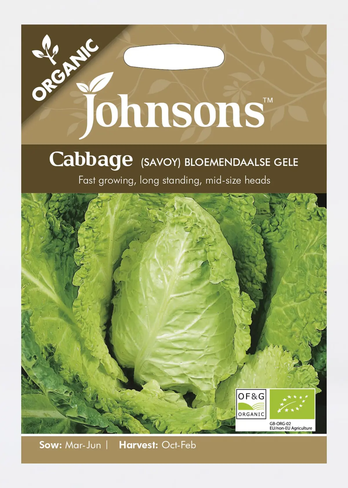 A photo of Cabbage (Savoy) Bloemendaalse Gele Seeds