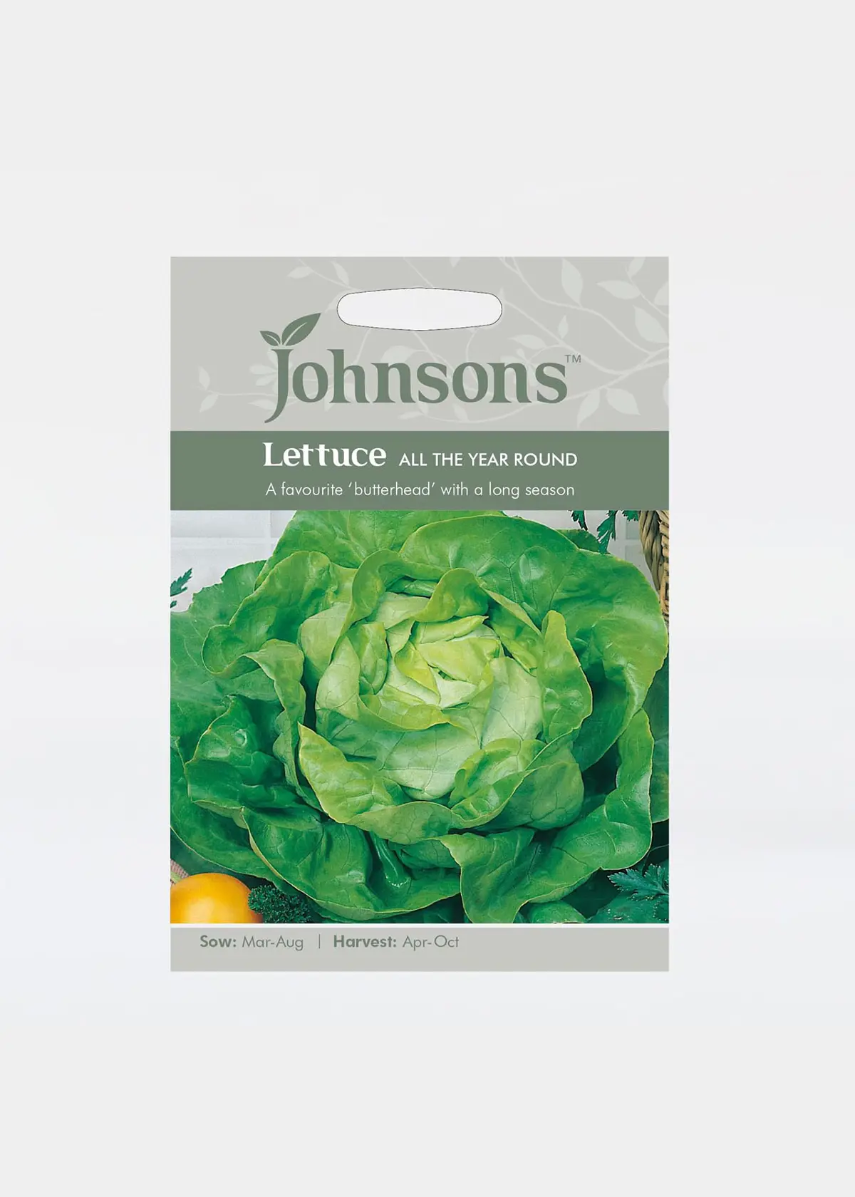 A photo of Lettuce All The Year Round Seeds