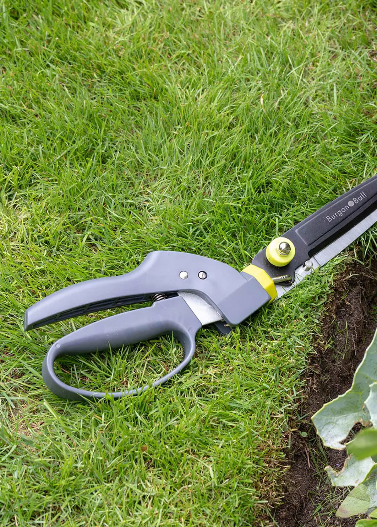 A photo of Burgon & Ball Single Handed Grass Shear 35cm