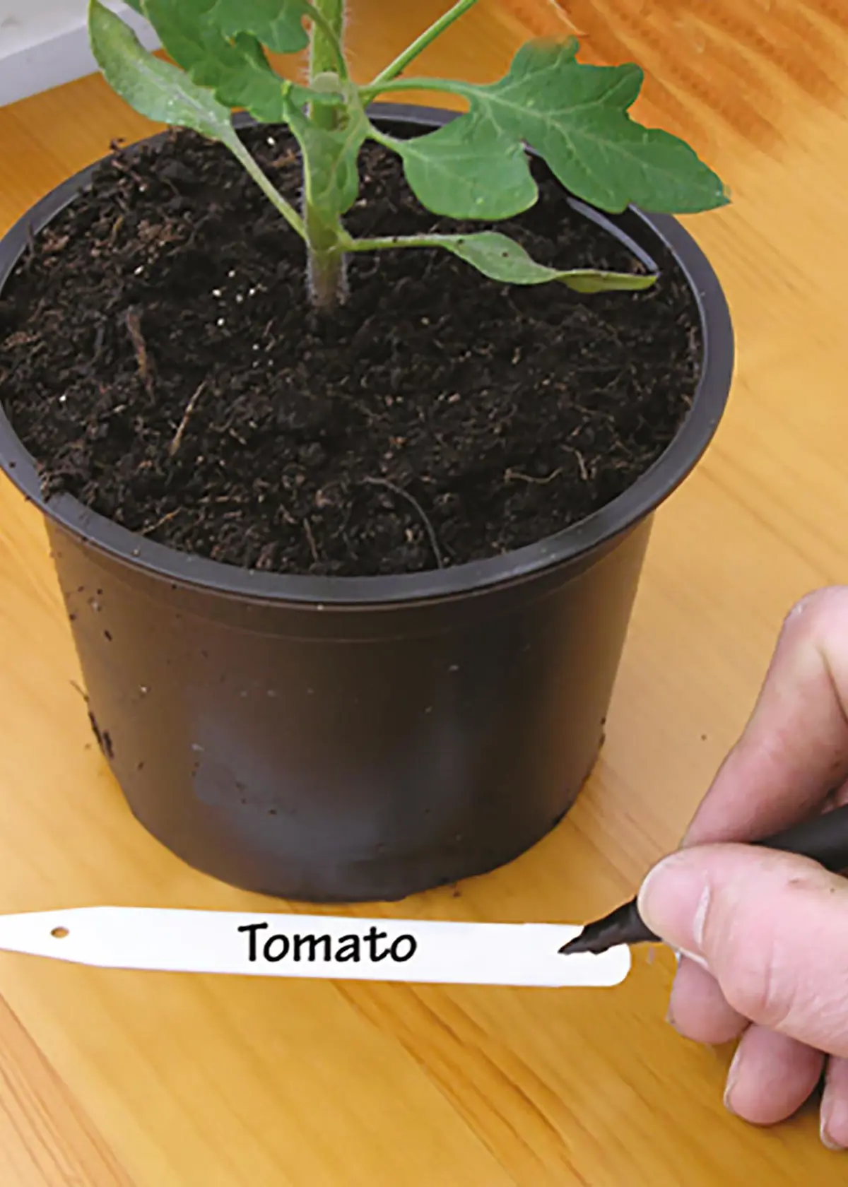 A photo of Pack of 2 Waterproof Garden Markers