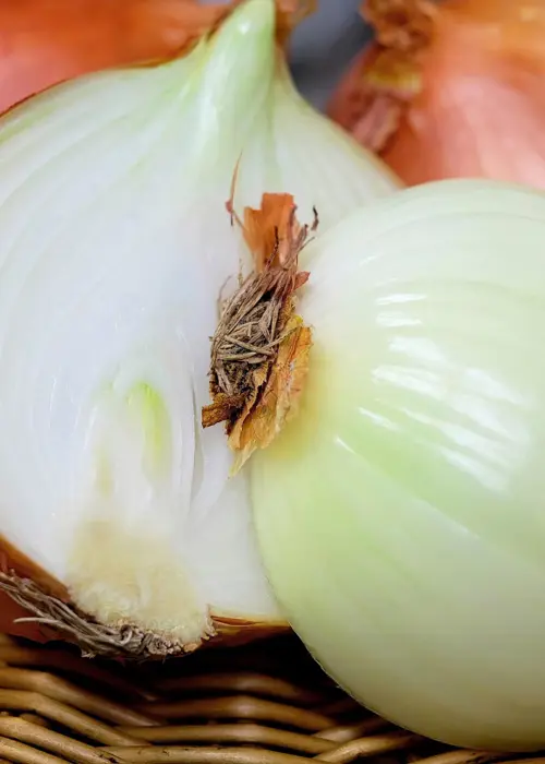 A photo of Onion Autumn Champion 50 Sets Per Pack