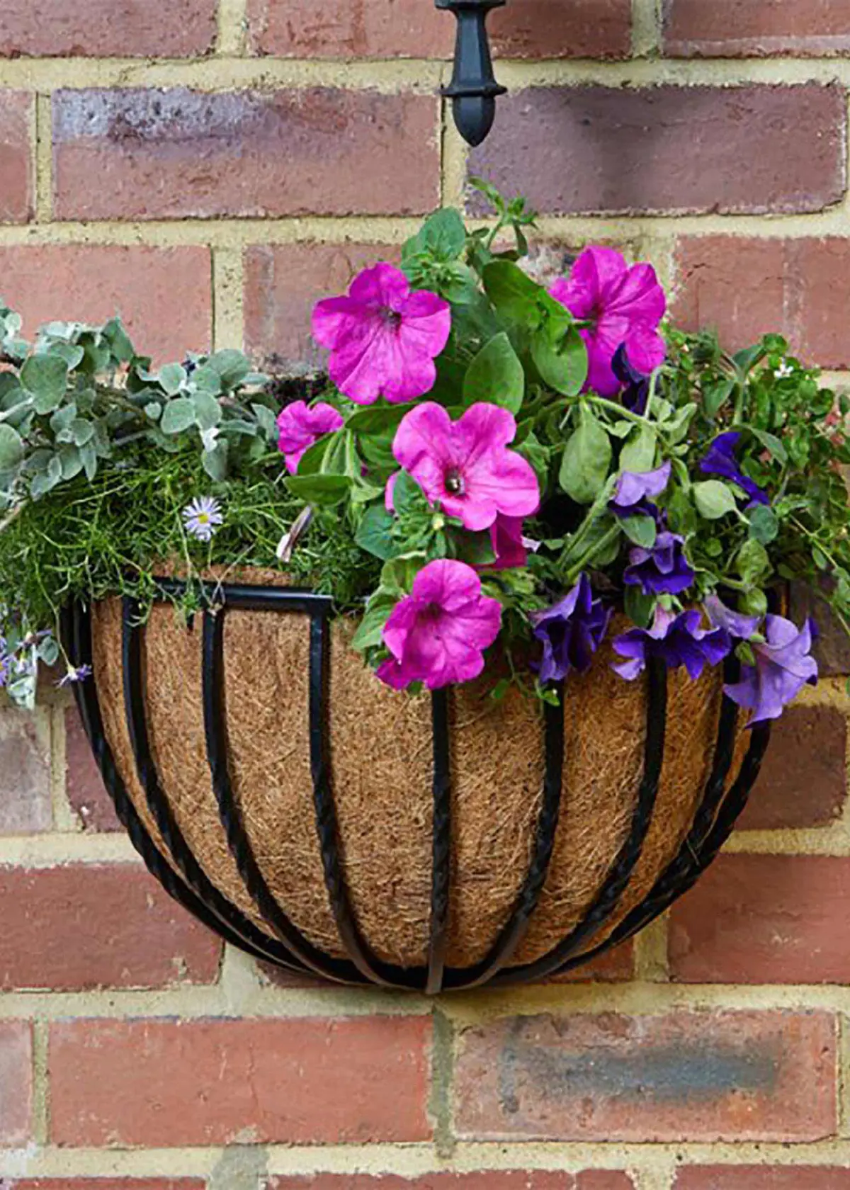 A photo of Forge Wall Basket 16in