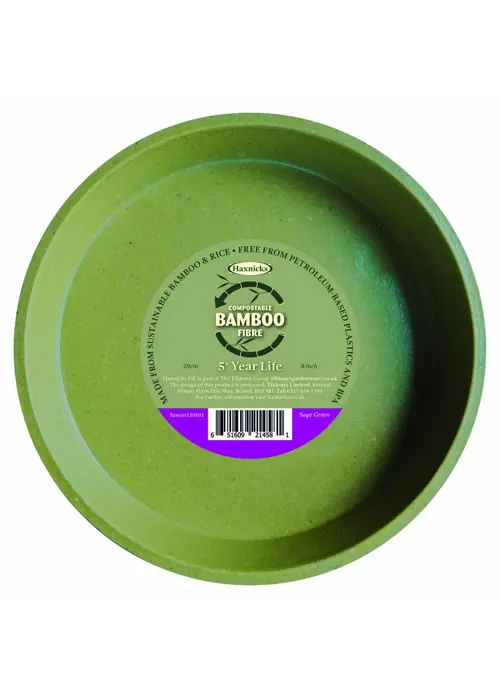 A photo of Haxnicks 20cm (8") Bamboo Saucer single Sage Green