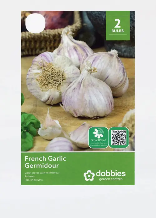 A photo of French Garlic Germidour Pack of 2