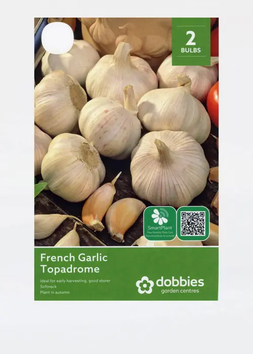 A photo of French Garlic Topadrome Pack of 2