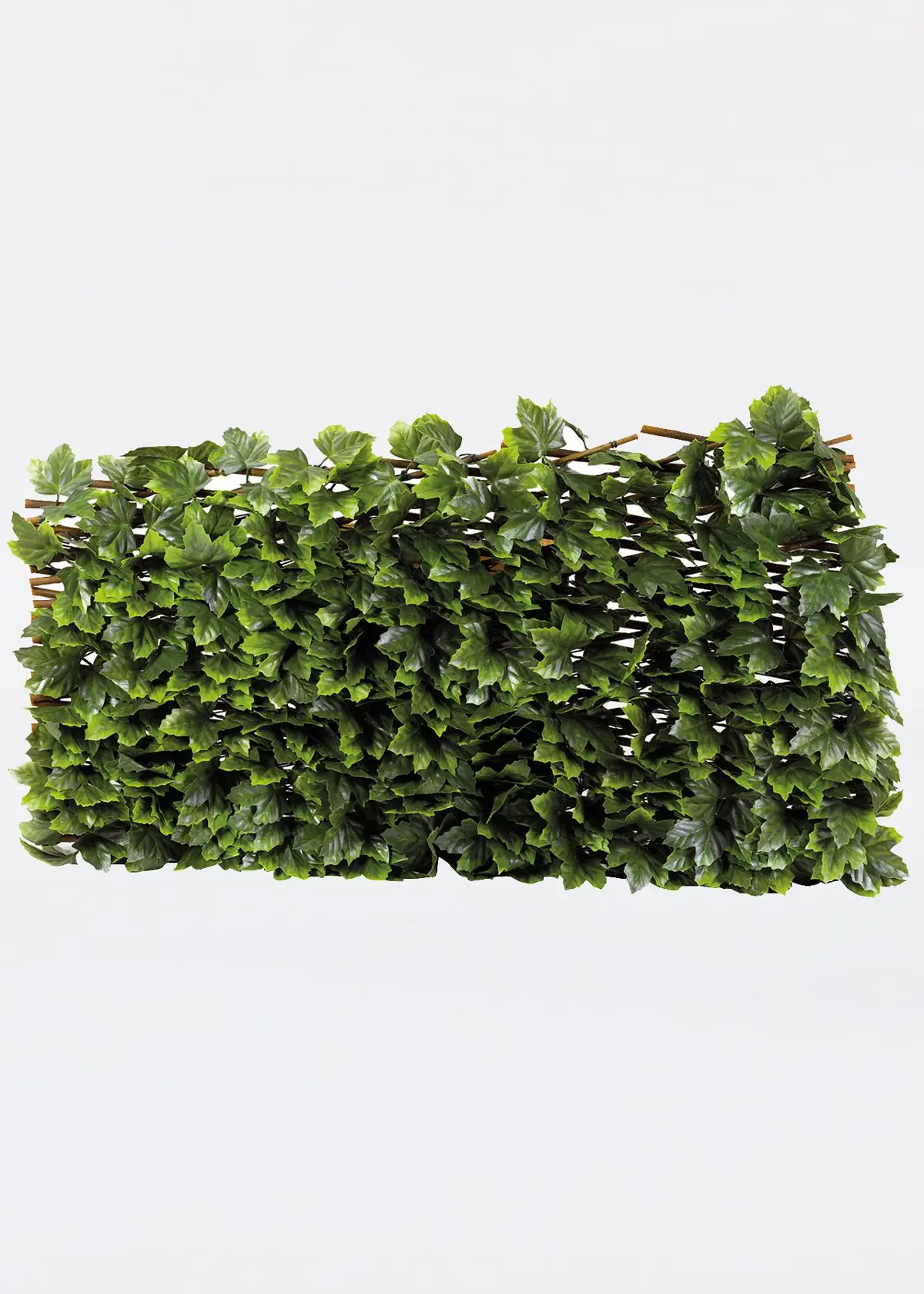 Maple Leaf Willow Trellis 180 x 60cm