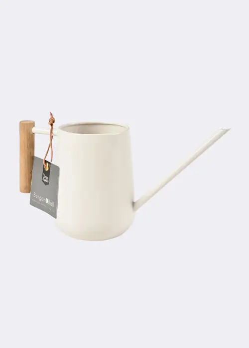 Indoor Watering Can Stone