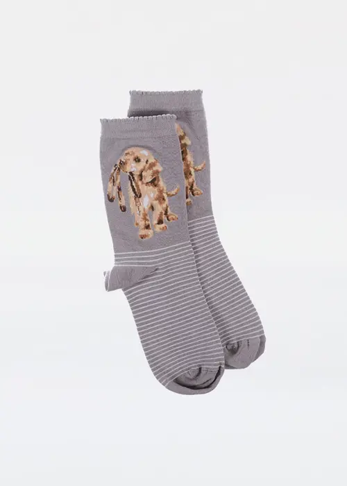 Dog Bamboo Socks Wrendale Designs