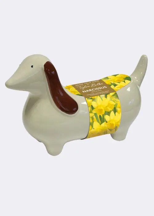 A photo of Sausage Dog Planter
