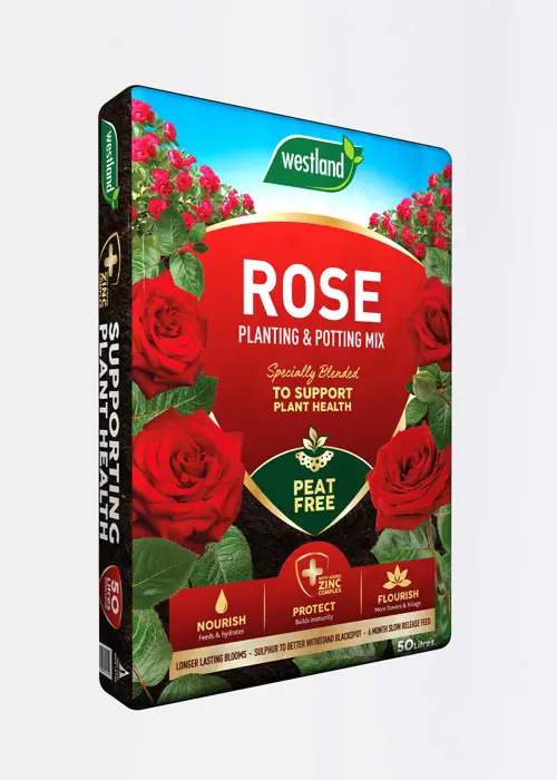 A photo of 50L Westland Peat Free Rose Planting & Potting Mix