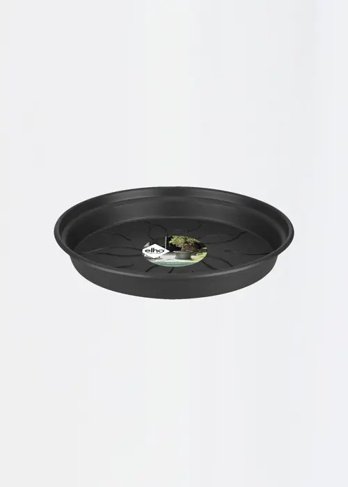 Elho Green Basics Saucer 17cm Black