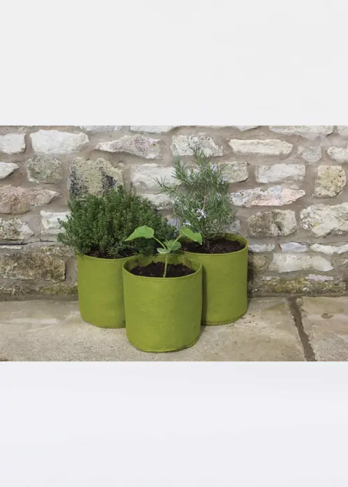 A photo of Pack of 3 Vigoroot Pots 5L