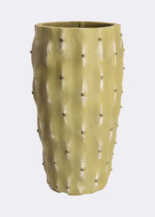A photo of Cactus Outdoor Pot 21cm
