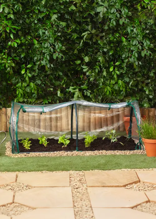 Dobbies Garden Cloche