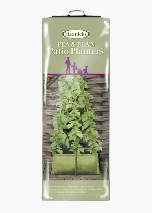 A photo of Pea & Bean Patio Planter