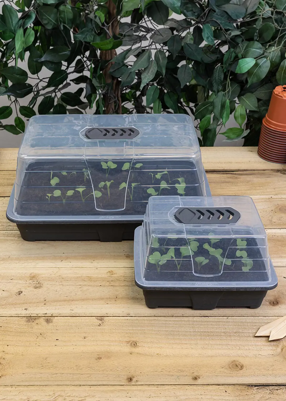 Dobbies Small Premium Propagator